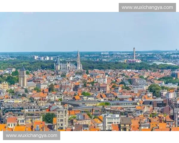 比利时热搜飙升聚焦2026世界杯完整赛程最新动态深度解读全景